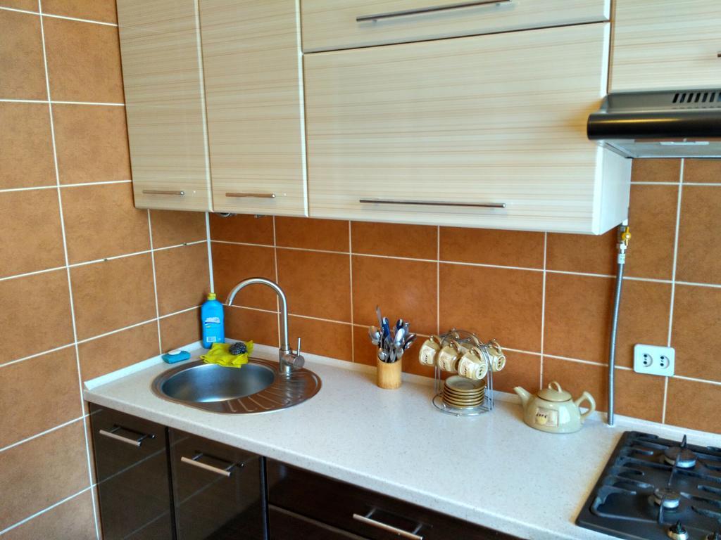 Двокімнатна Квартира В Ценрі Міста На Ерусалимці Поруч З Фонтаном Рошен Vinnitsya Dış mekan fotoğraf